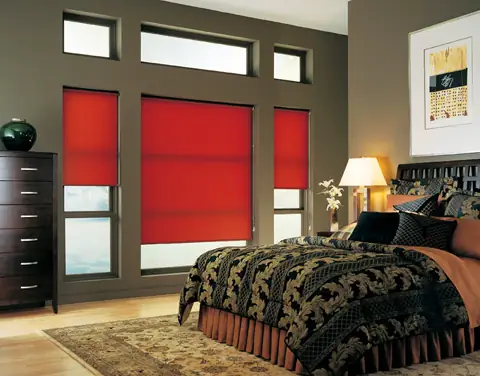 Roller Shades photo 1 of 19