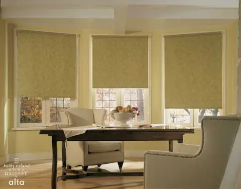 Roller Shades photo 19 of 19